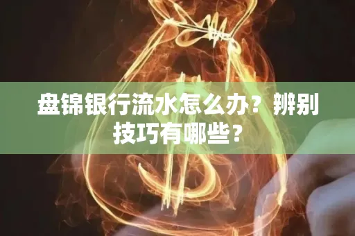 盘锦银行流水怎么办？辨别技巧有哪些？